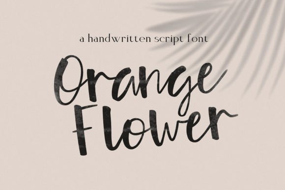 Orange Flower: A Thoughtful Script Font for Editorial Warmth