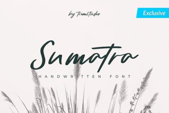 Sumatra: A Light Handwritten Font for Luxury Branding